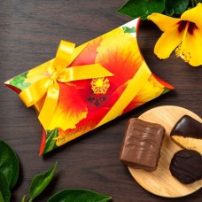 Sunrise Hibiscus Small Pillow