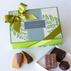 Ferns Keepsake