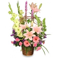 BASKET OF MEMORIES (Deluxe)