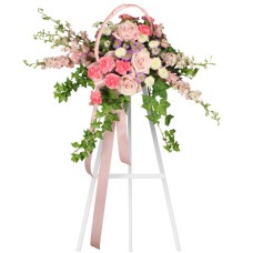 DELICATE PINK SPRAY (Deluxe)