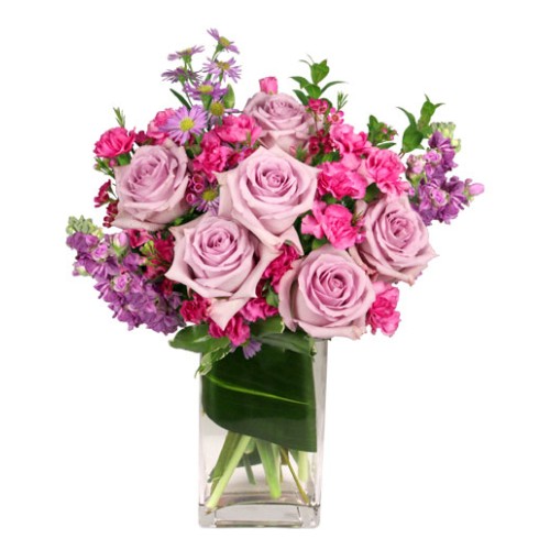 LAVENDER LUXURY (Standard)