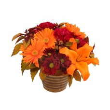 RUSTIC ORANGE AND CRANBERRY (Deluxe)