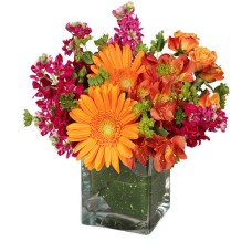 FLORAL EXUBERANCE (Standard)