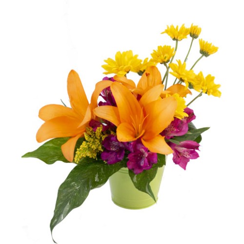Life In Lilies Flower Arrangement (Standard)