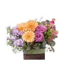 BLOOMING WILD (Deluxe)