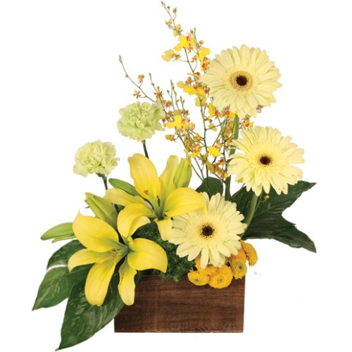 Joyous Sunlight Floral Design (Standard)