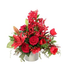 RUBY ALLURE (Deluxe)