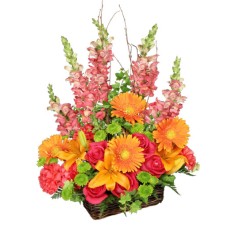 BRILLIANT BASKET (Deluxe)