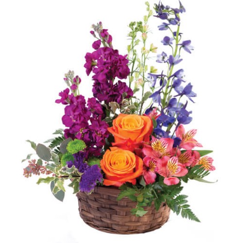 HARMONY'S BASKET (Standard)