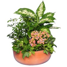 GARDEN PLANTER (Standard)