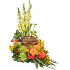 MEANINGFUL MEMORIAL (Deluxe)