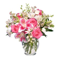 PINK and WHITE DREAMS (Deluxe)