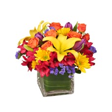 SUN-INFUSED FLOWERS (Deluxe)