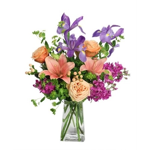 MAGNIFICENT AFFECTION (Standard)