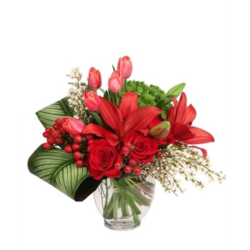 SOPHISTICATED SCARLET VASE ARRANGEMENT (Standard)