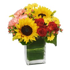 SEASON FOR SUNFLOWERS (Deluxe)