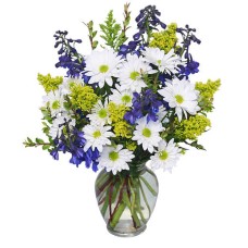 LAZY DAISY and DELPHINIUM (Standard)