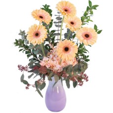 PASTEL GERBERAS (Deluxe)