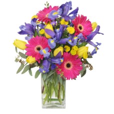 SPRING SMILES (Deluxe)
