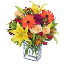 FLORAL SPECTACULAR (Standard)