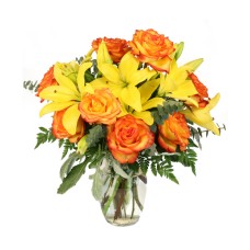 VIVID AMBER (Deluxe)