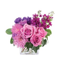 PURPLE BLOOMS OF BLISS (Deluxe)
