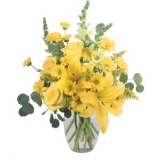 YELLOW FRENZY (Deluxe)
