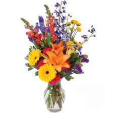VIBRANT MEADOW (Deluxe)