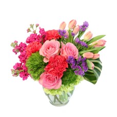 BLOSSOMING MEDLEY (Deluxe)