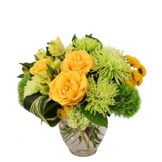 LUSH LEMON ROSES (Standard)