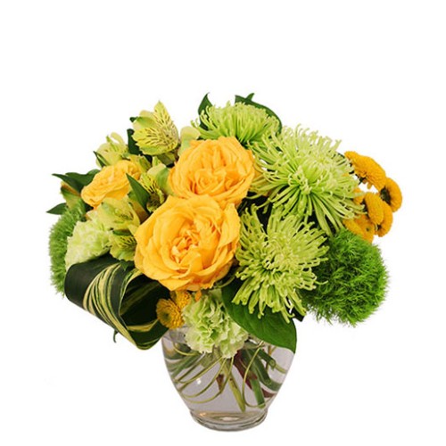 LUSH LEMON ROSES (Standard)