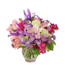 PRANCING LILAC (Standard)
