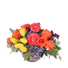 VIVID SPLENDOR (Deluxe)