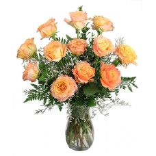 A Free-Spirit Dozen Rose Arrangement (Standard)