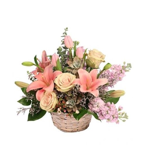 SOFT EMBRACE BASKET ARRANGEMENT (Standard)
