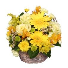 SUNNY FLOWER PATCH (Deluxe)