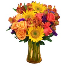 Sunflower Sampler Arrangement (Deluxe)