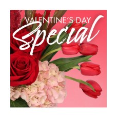 Valentine's Day Weekly Special (Standard)