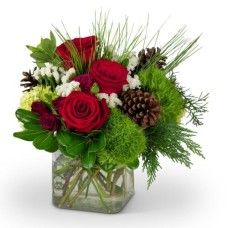 Wintertime Beauty (Deluxe)
