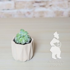 Single Succulent