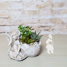 Fairies Retreat
