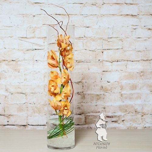 Imperial Orchid (As Shown)