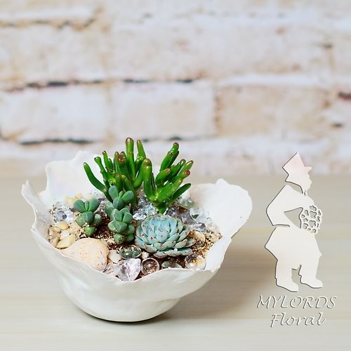 Seaside Succulents