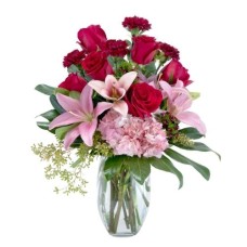 Blushing Rose (Deluxe)