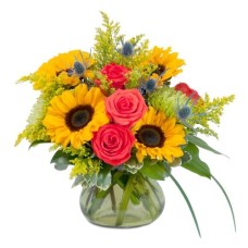 Sunlit Splendor (Deluxe)