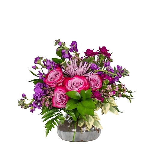 Mauve is Rosie (As Shown)