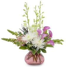 Calla Kisses (Deluxe)