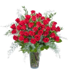 Room Full of Roses and More (As Shown)