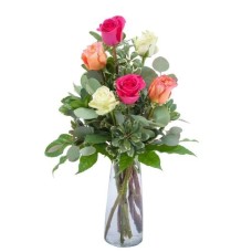 Six Roses (Deluxe)