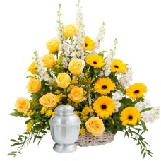 Rays of Sunshine Basket Surround (Deluxe)